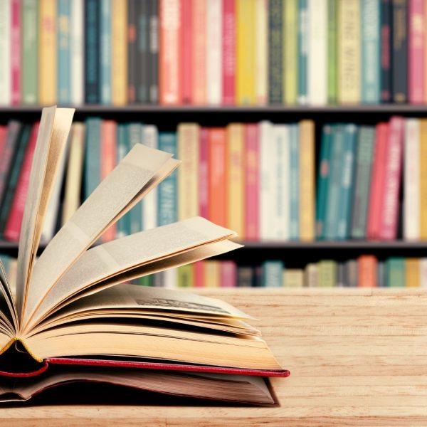 Self Development Book for You